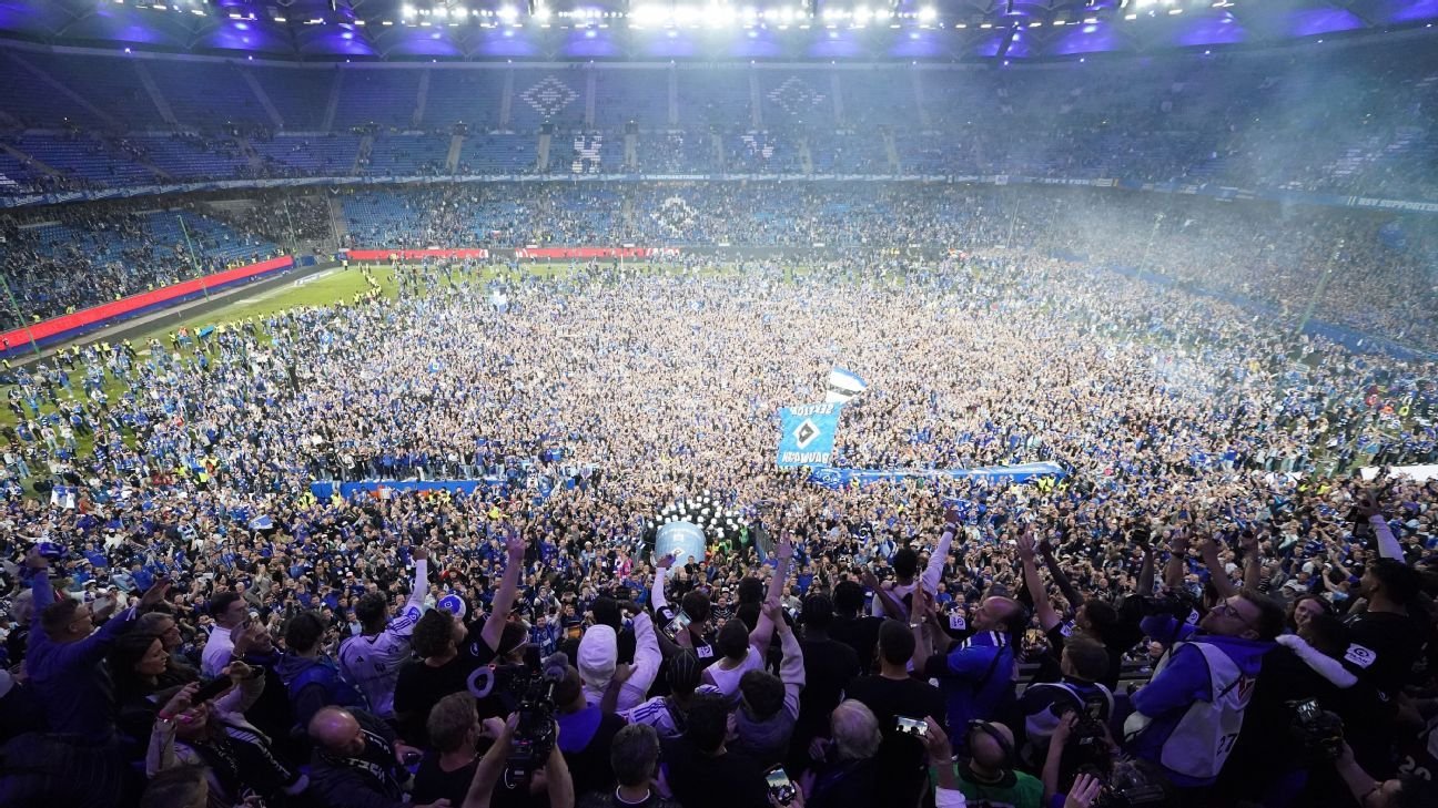 Hamburg SV fans seriously injured in Bundesliga promotion aftermath Hamburg SV fans seriously injured in Bundesliga promotion aftermath