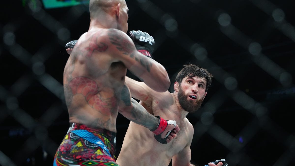 Magomed Ankalaev’s manager gives deadline for Alex Pereira rematch Magomed Ankalaev’s manager gives deadline for Alex Pereira rematch