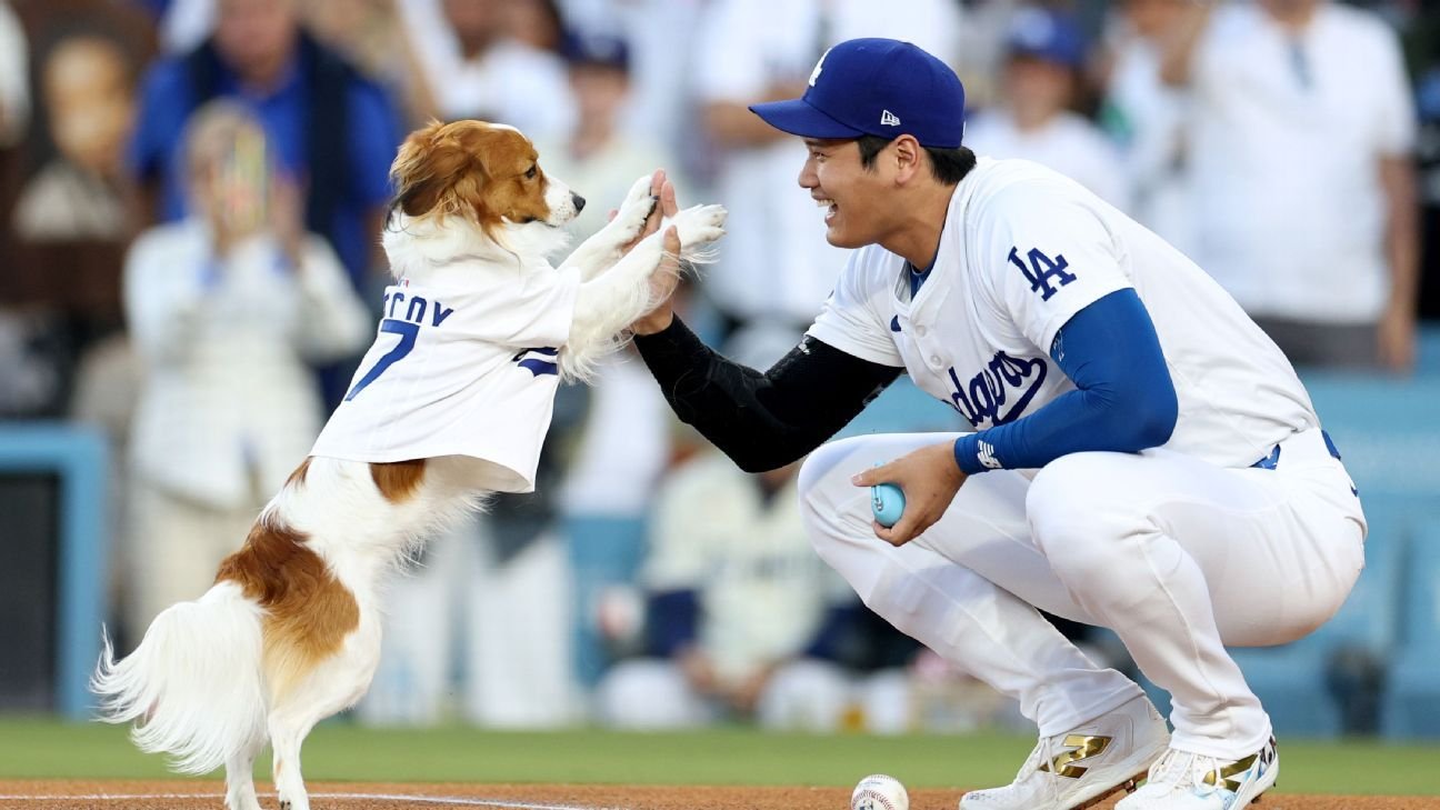 Dodgers’ Shohei Ohtani announces children’s book about dog, Decoy Dodgers’ Shohei Ohtani announces children’s book about dog, Decoy