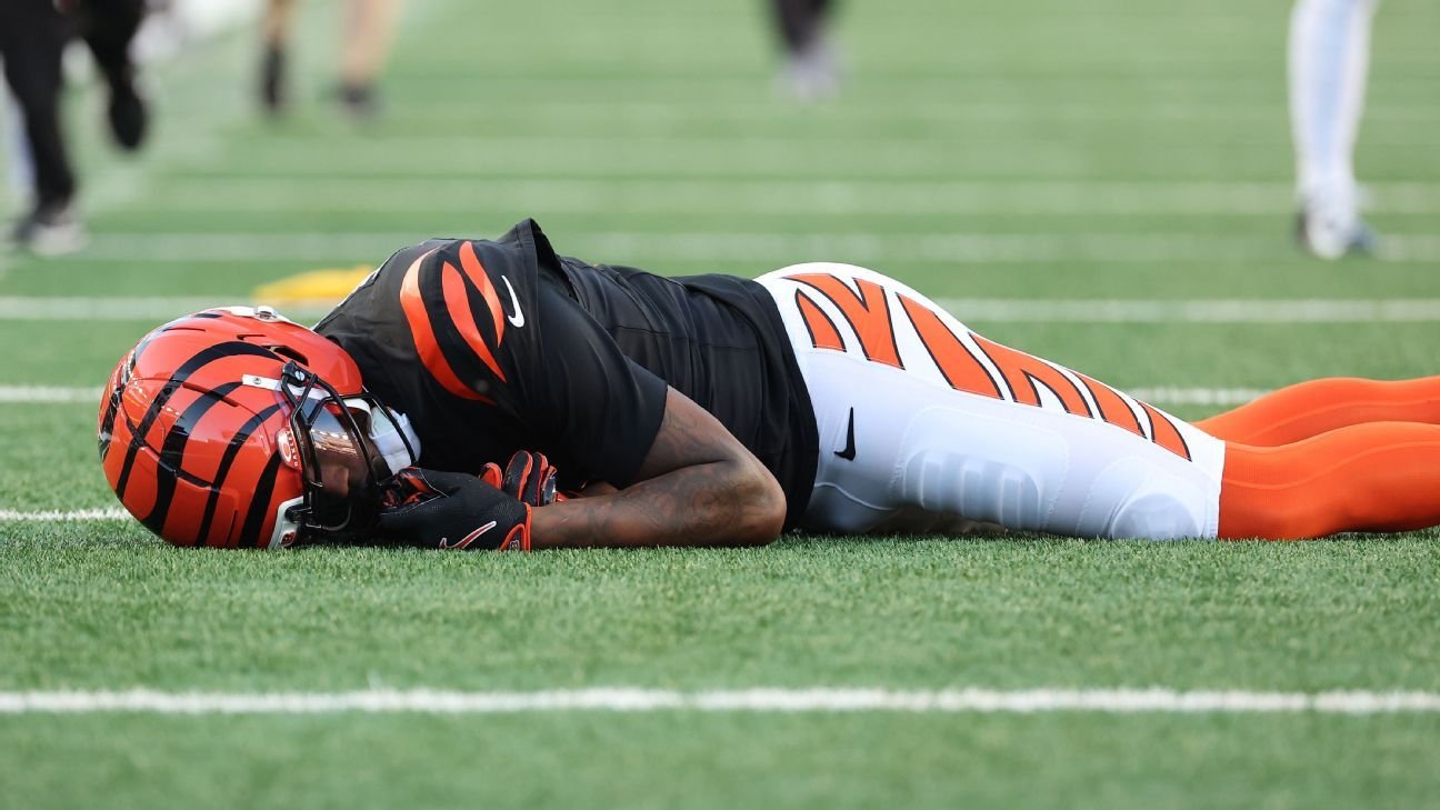 Bengals’ Tee Higgins suffers concussion after hard fall to turf Bengals’ Tee Higgins suffers concussion after hard fall to turf