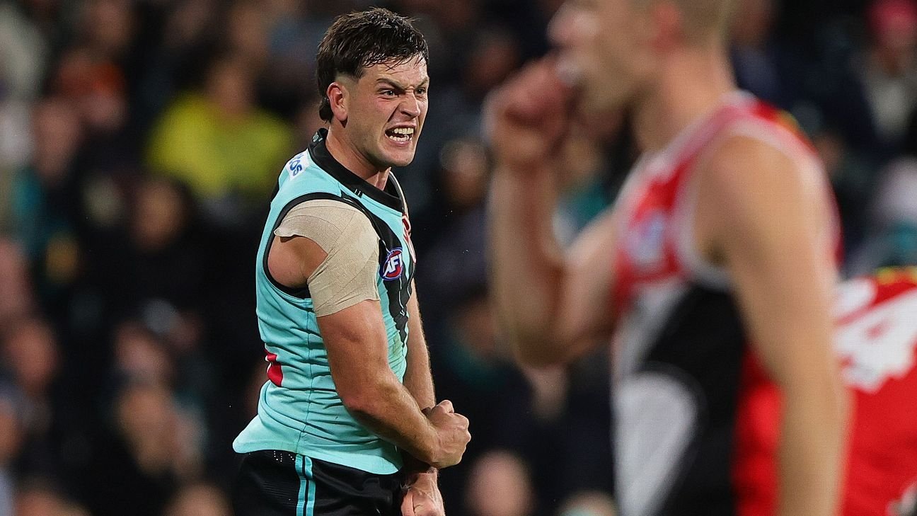 Tribunal upholds Port star’s umpire abuse charge Tribunal upholds Port star’s umpire abuse charge