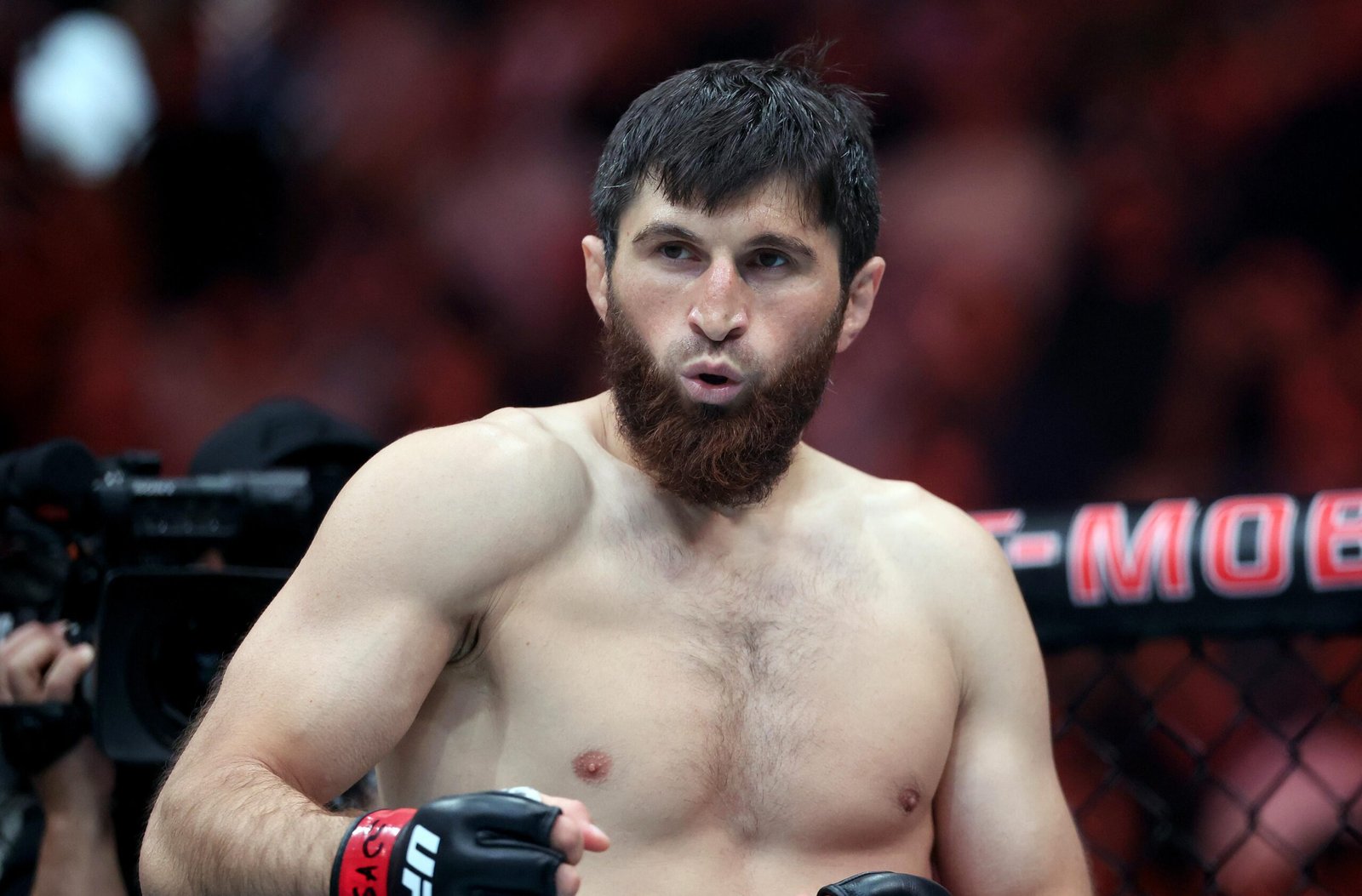 Magomed Ankalaev, Umar Nurmagomedov get opponents for UFC Abu Dhabi headliners Magomed Ankalaev, Umar Nurmagomedov get opponents for UFC Abu Dhabi headliners
