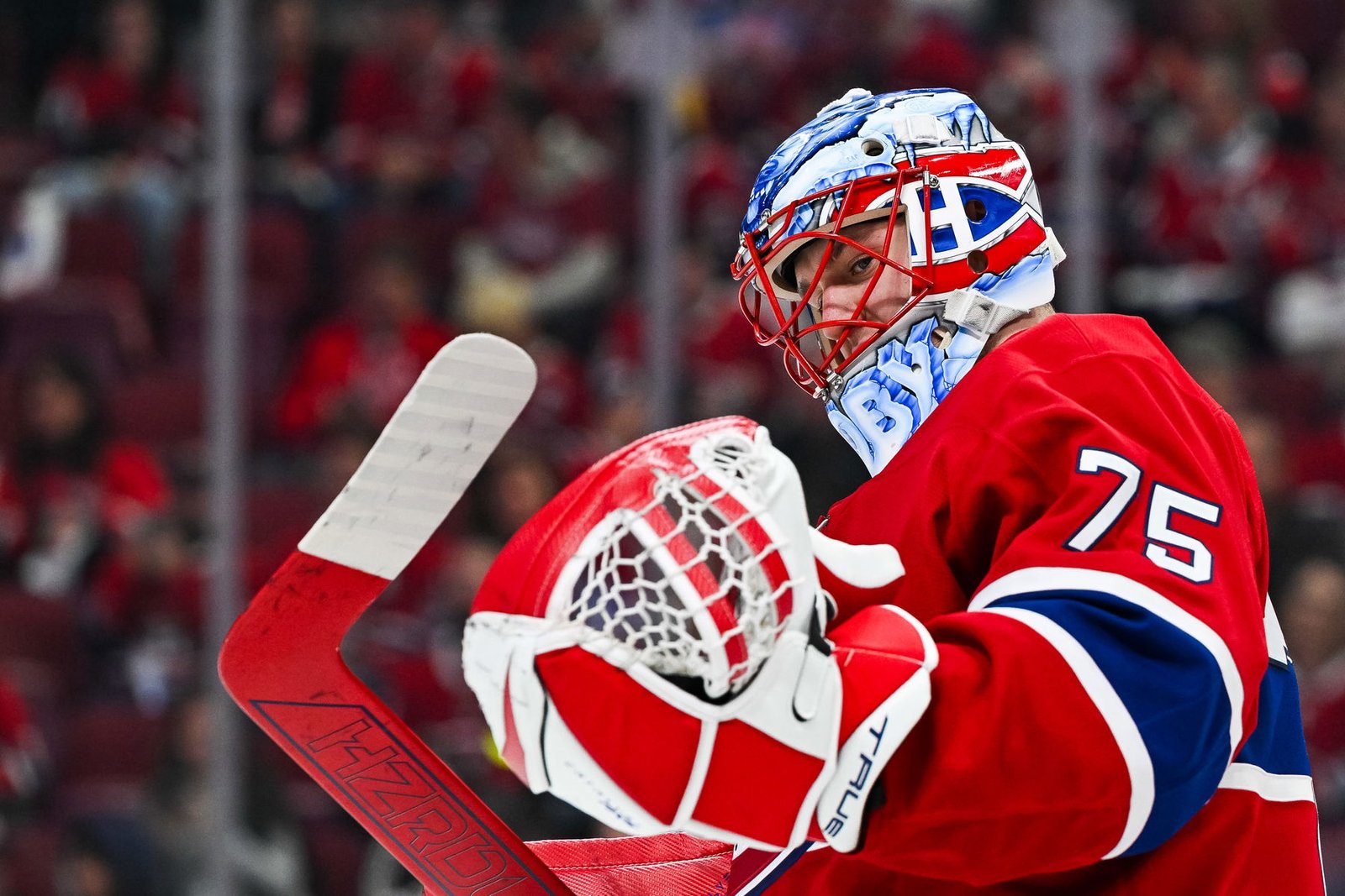Canadiens: The Future In Net Canadiens: The Future In Net