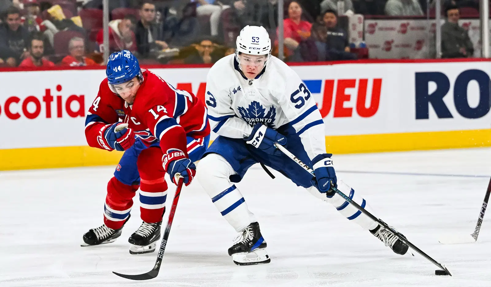 Toronto’s Easton Cowan And Other AHL Rookie Forwards To Keep An Eye On Next Season Toronto’s Easton Cowan And Other AHL Rookie Forwards To Keep An Eye On Next Season