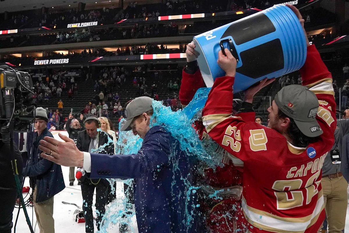 Report: Maple Leafs ‘Working Through’ Possible David Carle Hire, Bruce Cassidy Remains Out Of The Picture Report: Maple Leafs ‘Working Through’ Possible David Carle Hire, Bruce Cassidy Remains Out Of The Picture