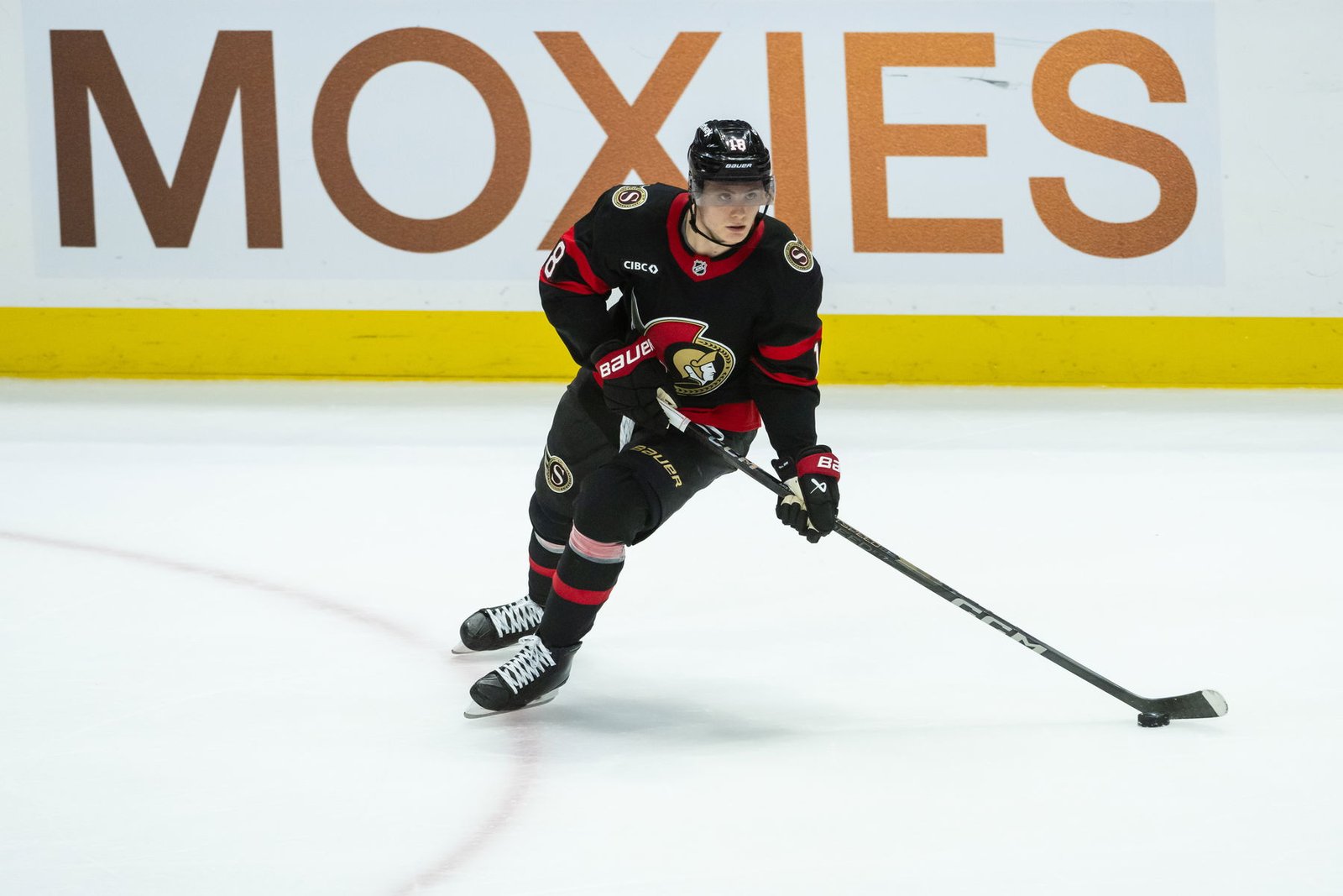 Tim Stützle Joins Germany At World Championship Tim Stützle Joins Germany At World Championship