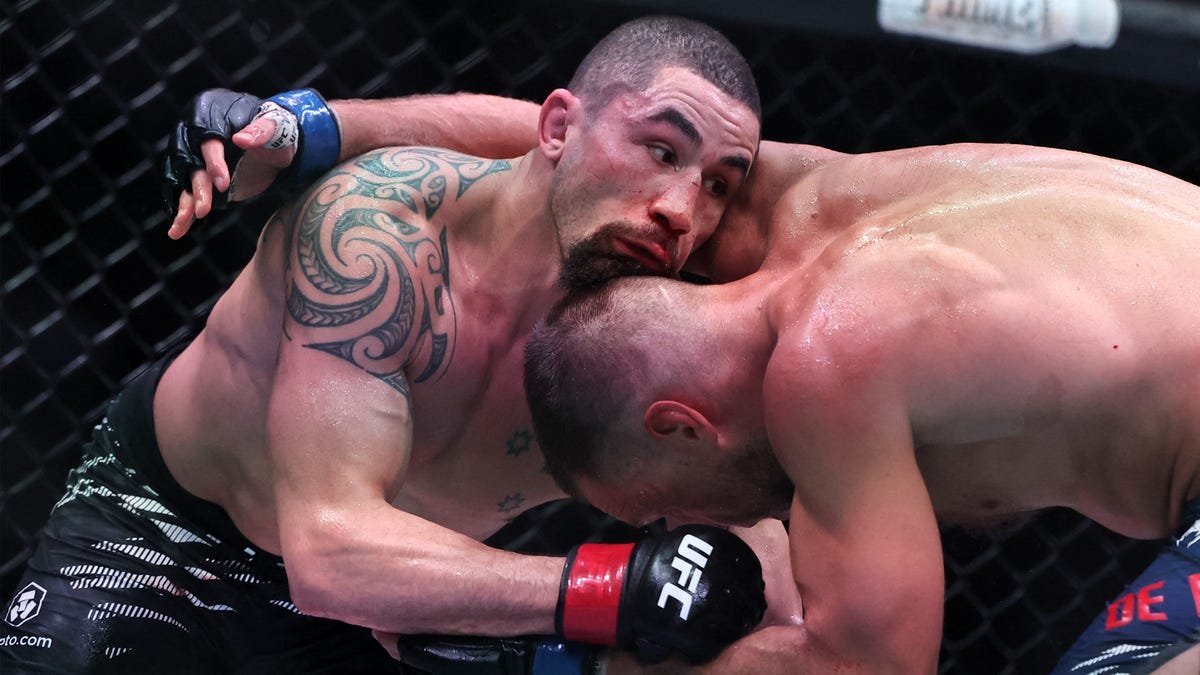 Reinier de Ridder vs. Robert Whittaker
