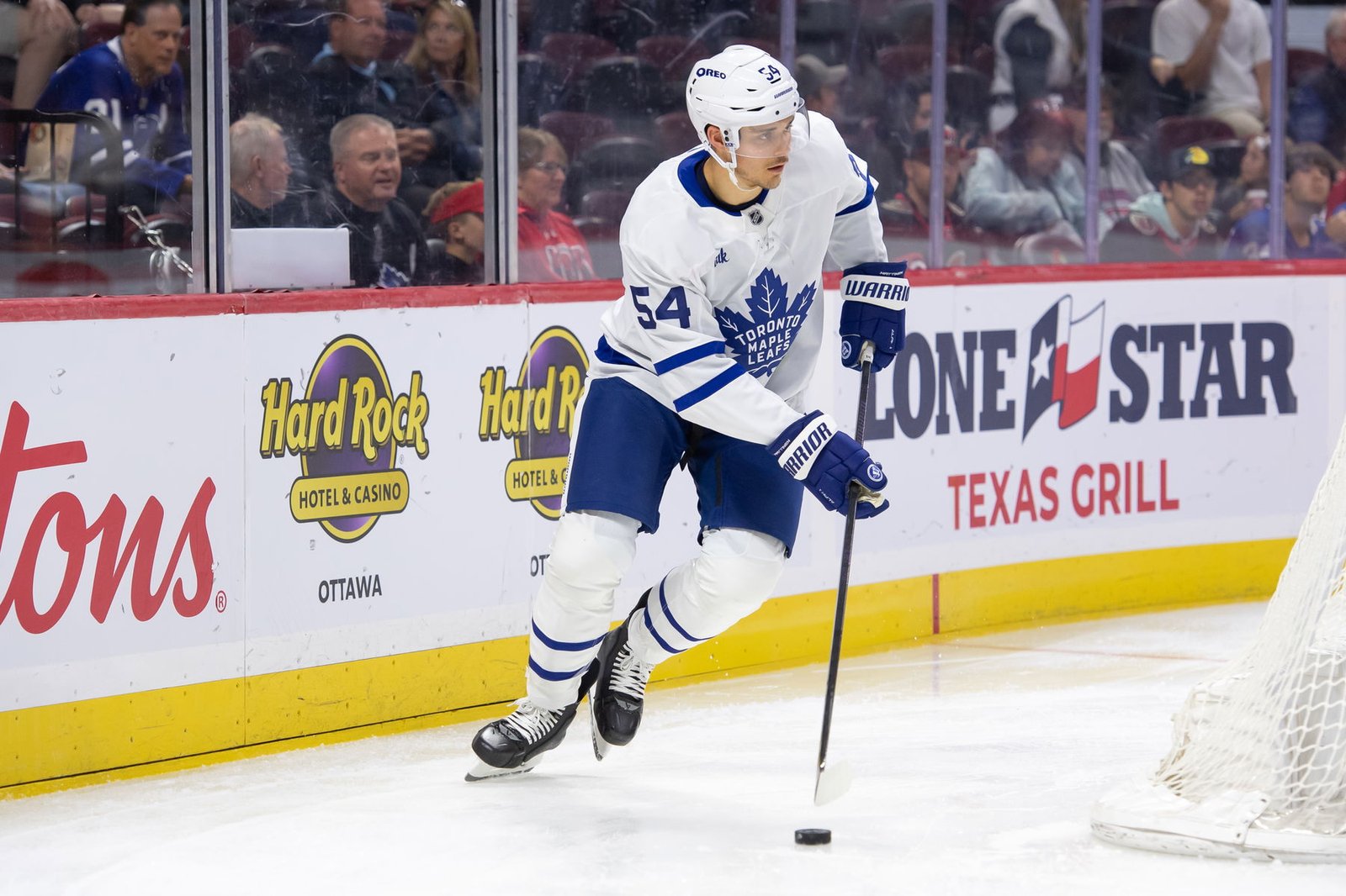 Leafs AHL D-Man Signs With German Club Leafs AHL D-Man Signs With German Club