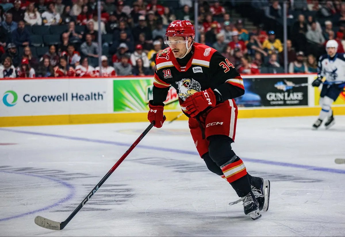 Red Wings AHL Standout May Finally Get NHL Chance With Western Conference Powerhouse Red Wings AHL Standout May Finally Get NHL Chance With Western Conference Powerhouse