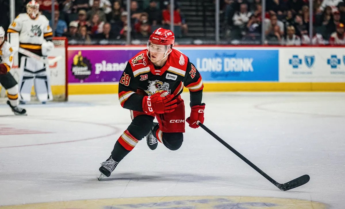 Will Michael Brandsegg-Nygard Make the Full-Time Jump To Detroit Next Season? Will Michael Brandsegg-Nygard Make the Full-Time Jump To Detroit Next Season?