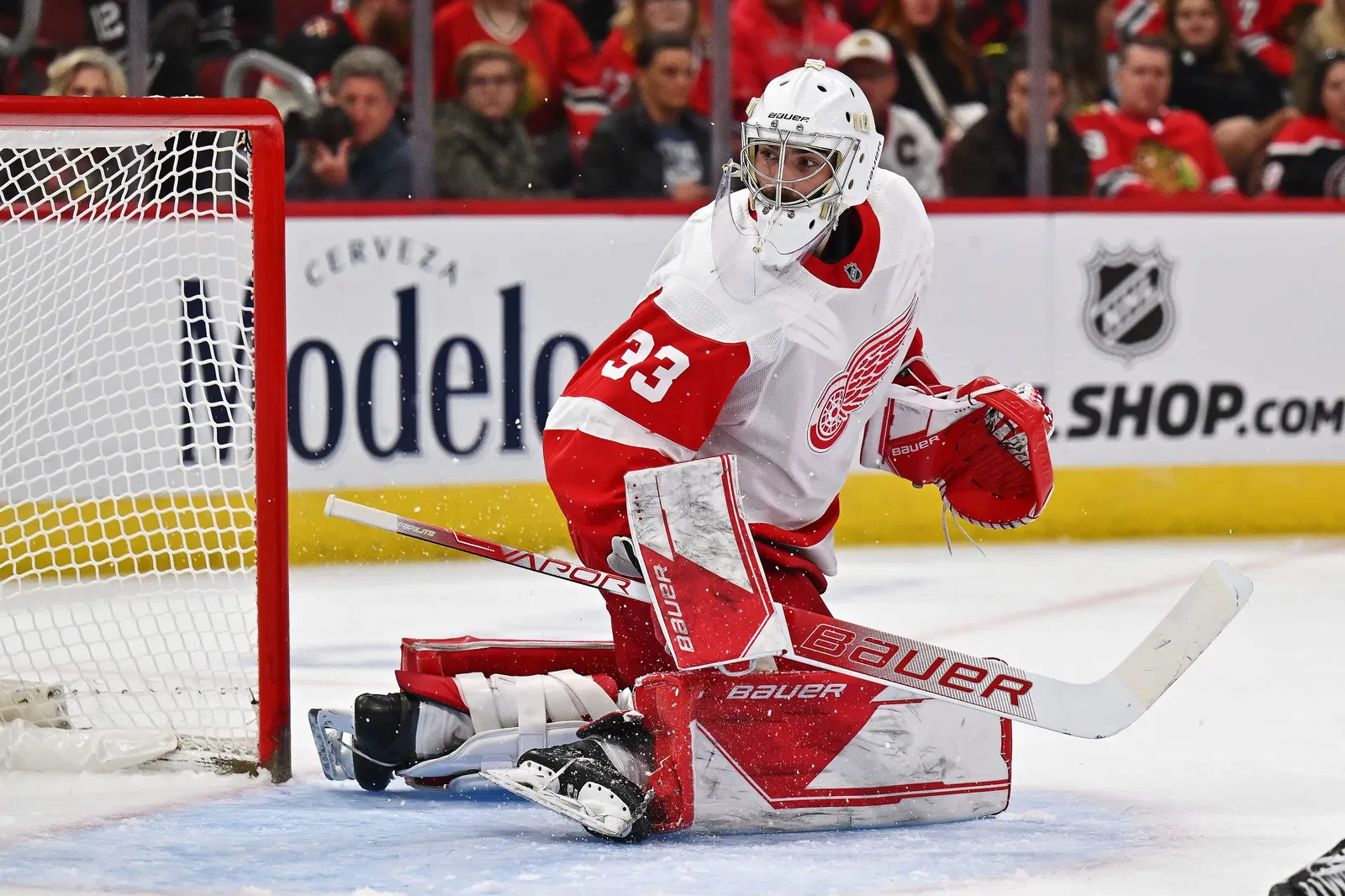Detroit AHL Coach Says Cossa Will Be Firmly in the Mix for Red Wings Backup Role Detroit AHL Coach Says Cossa Will Be Firmly in the Mix for Red Wings Backup Role