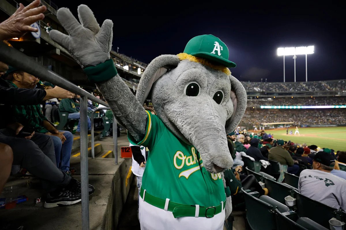 Red Sox look to win 10th straight series against visiting Athletics Red Sox look to win 10th straight series against visiting Athletics