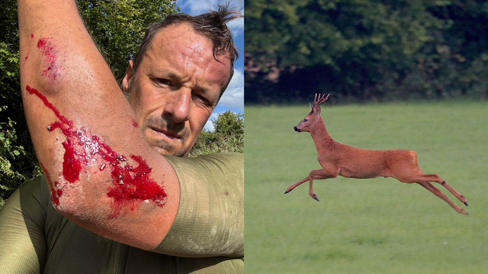 I rode headfirst into a roe buck – it’s rutting season right now and UK gravel riders should be aware I rode headfirst into a roe buck – it’s rutting season right now and UK gravel riders should be aware